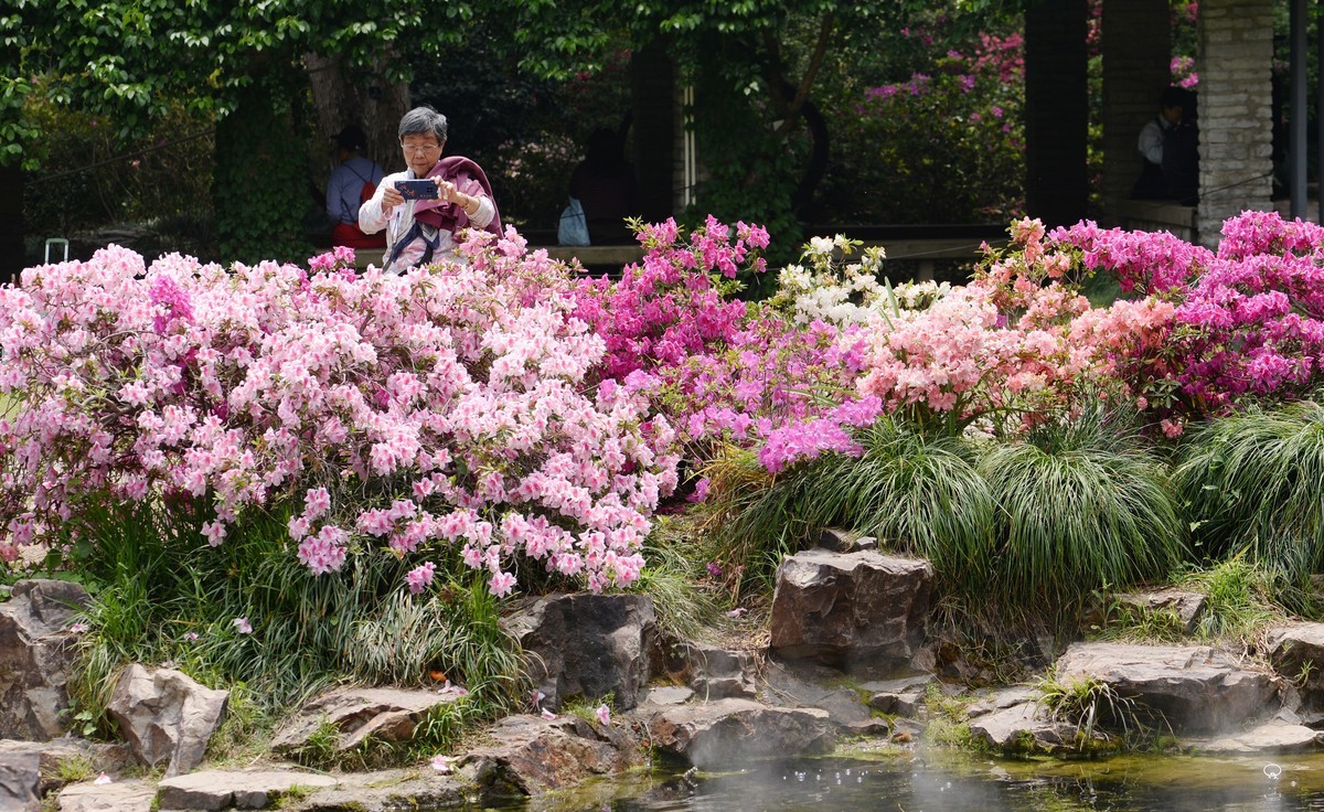 四月花事（二）