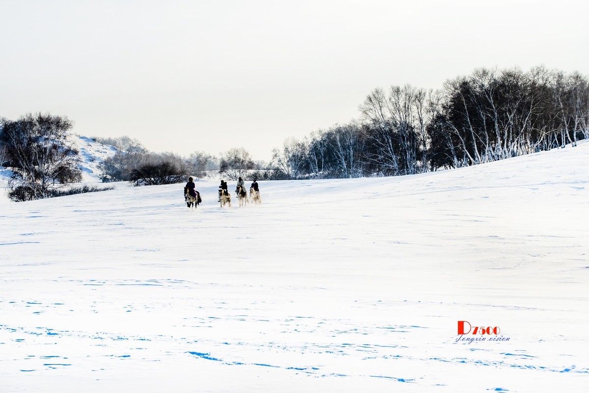 强健&靓丽的牧马人（80）