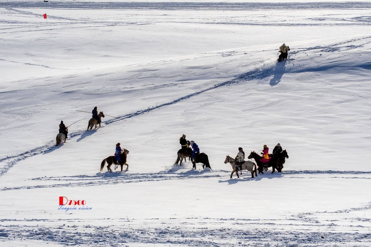 强健&靓丽的牧马人（80）