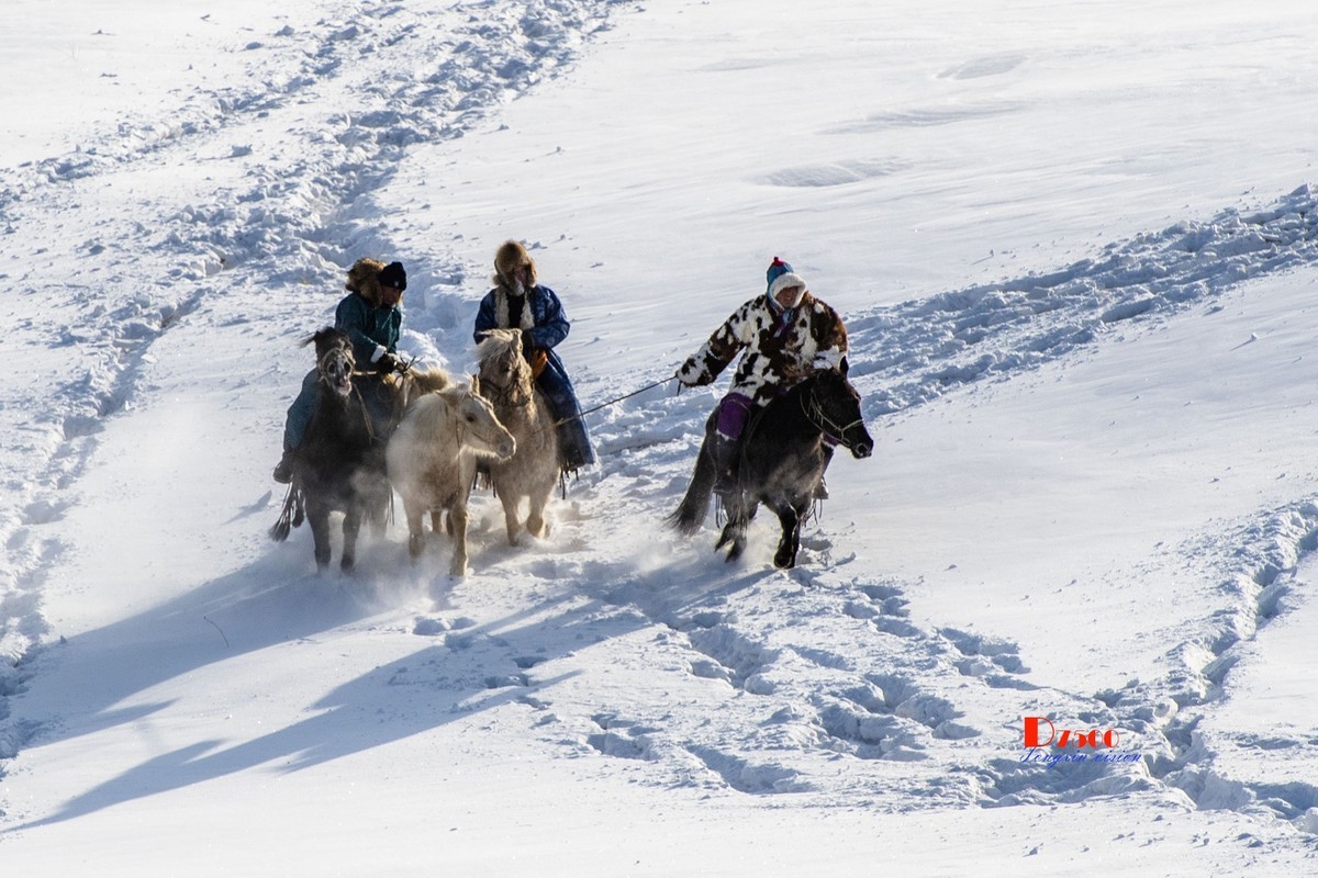 强健&靓丽的牧马人（80）