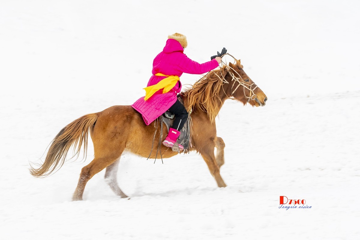 强健&靓丽的牧马人（80）