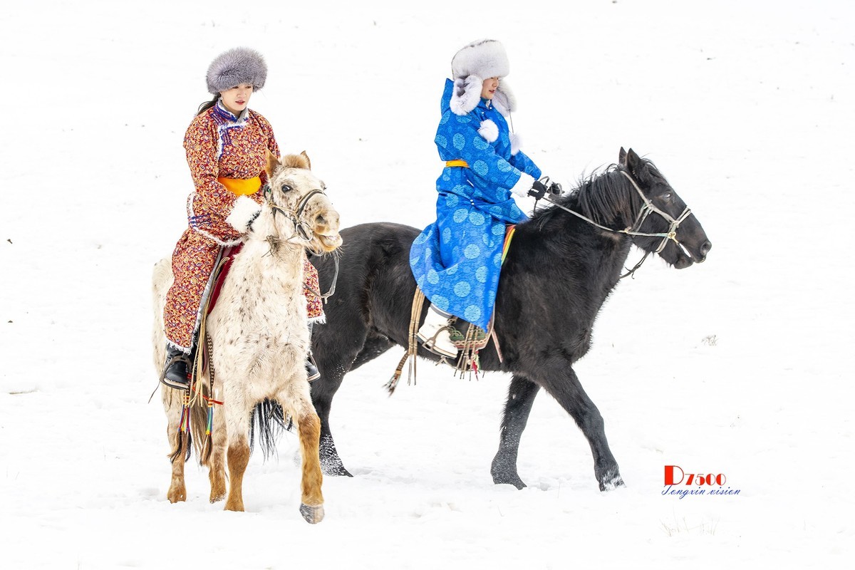 强健&靓丽的牧马人（80）