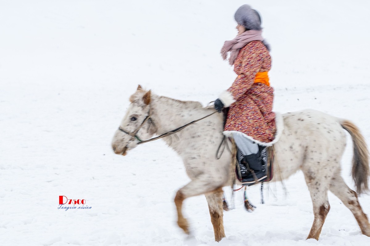 强健&靓丽的牧马人（80）