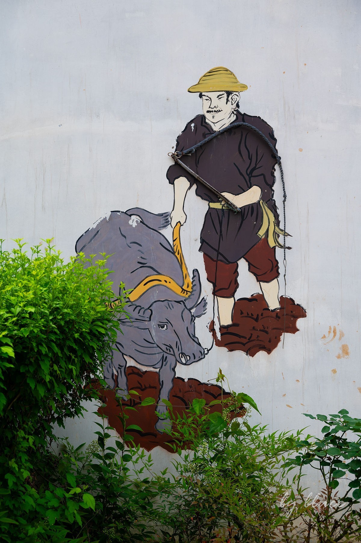 唐模古村（三）