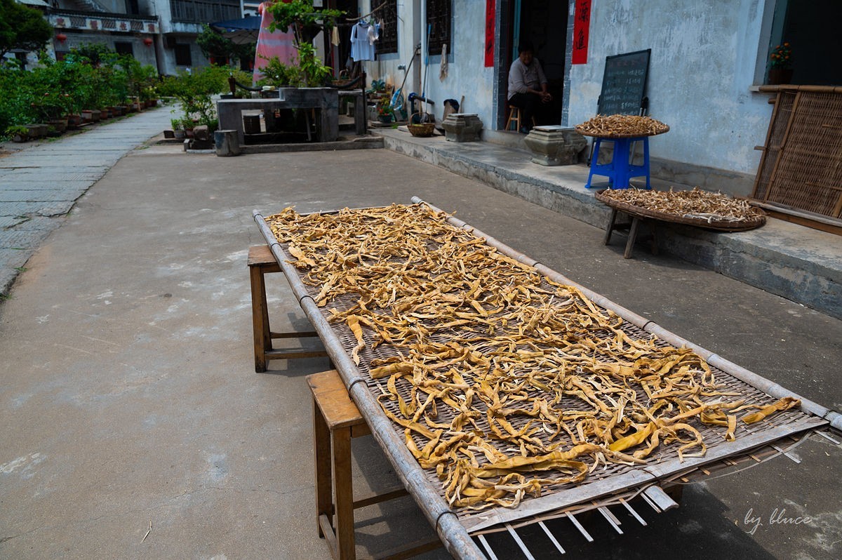 唐模古村（三）