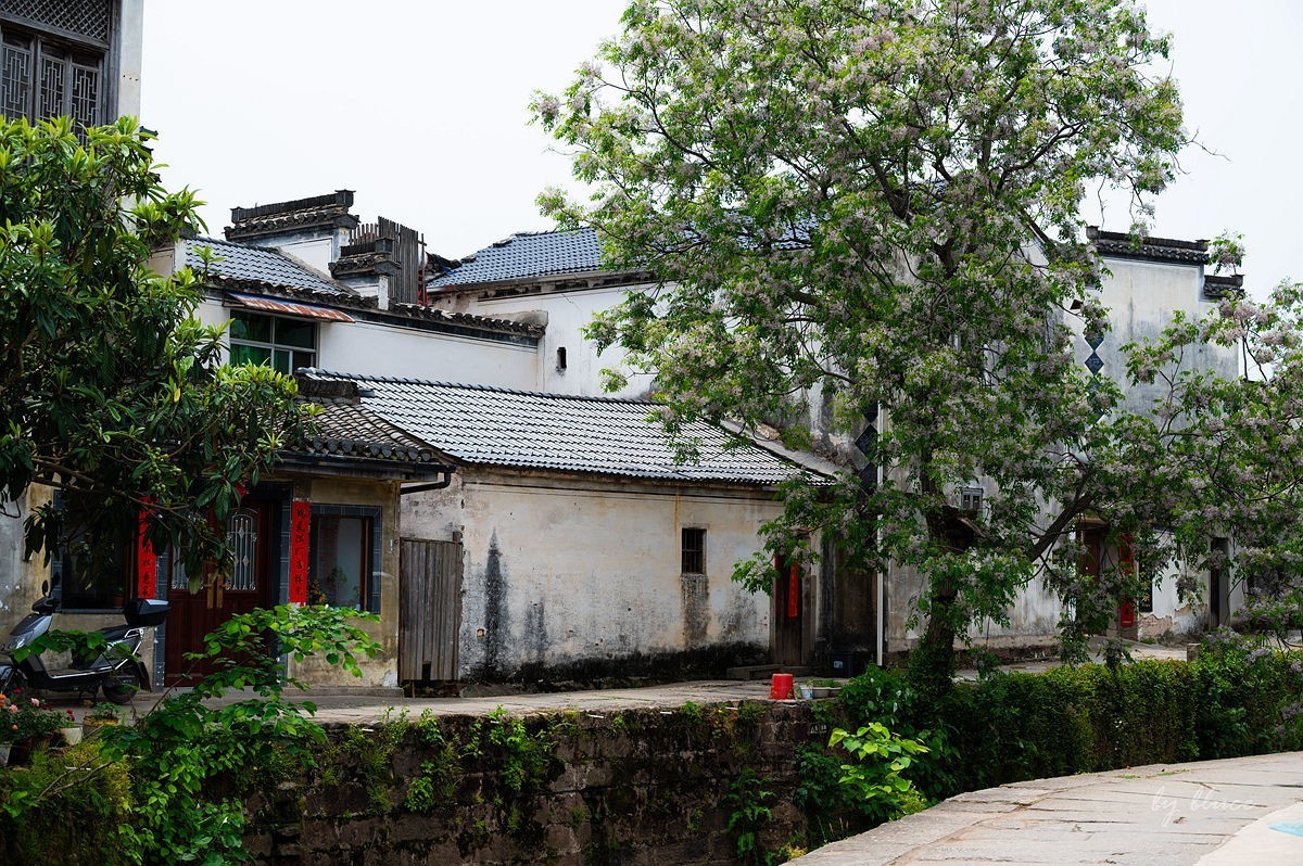 唐模古村（三）