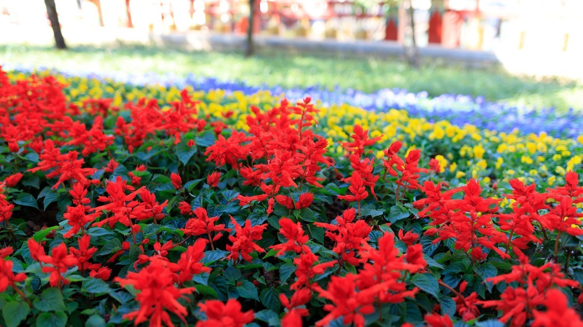 木里县佛教公园