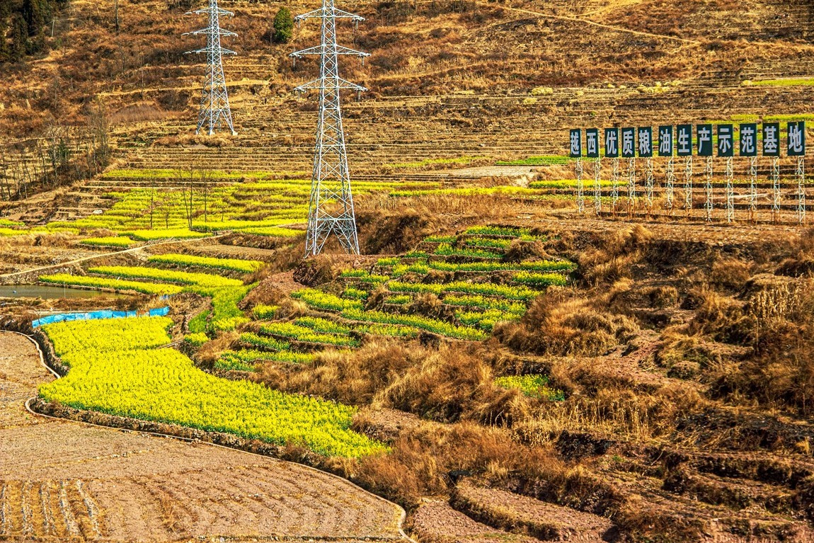 坐着火车到版纳沿途风光【26】续完