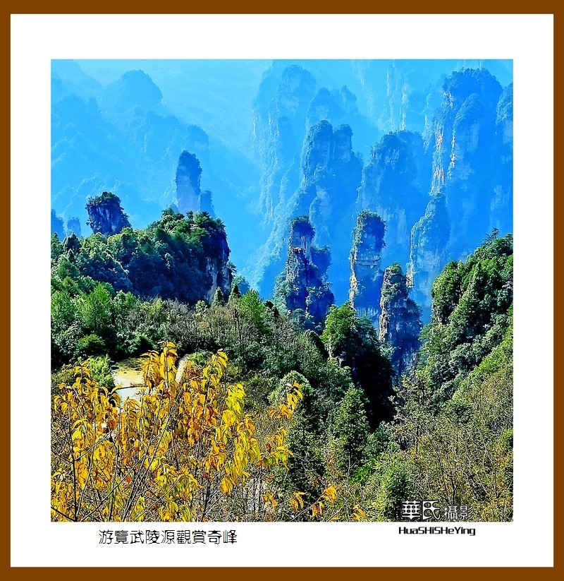 2021南行慢游（湖南182）—游览武陵源观赏奇峰之十五（张家界）