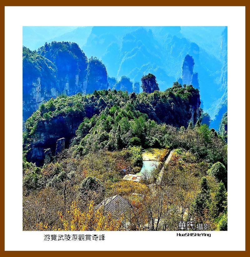 2021南行慢游（湖南182）—游览武陵源观赏奇峰之十五（张家界）