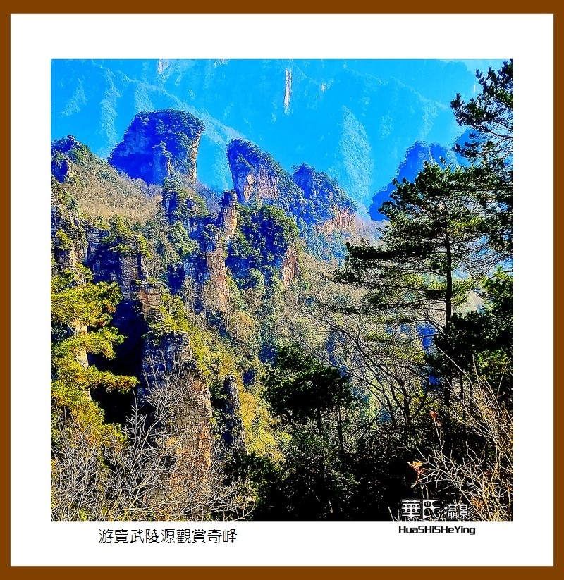 2021南行慢游（湖南182）—游览武陵源观赏奇峰之十五（张家界）