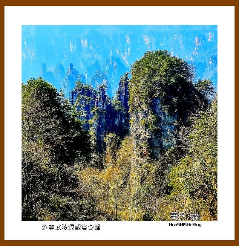 2021南行慢游（湖南182）—游览武陵源观赏奇峰之十五（张家界）