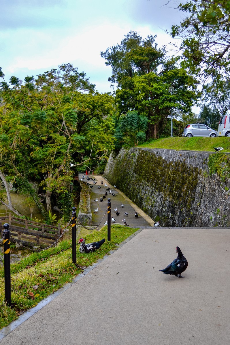 2016年冲绳游拍-33