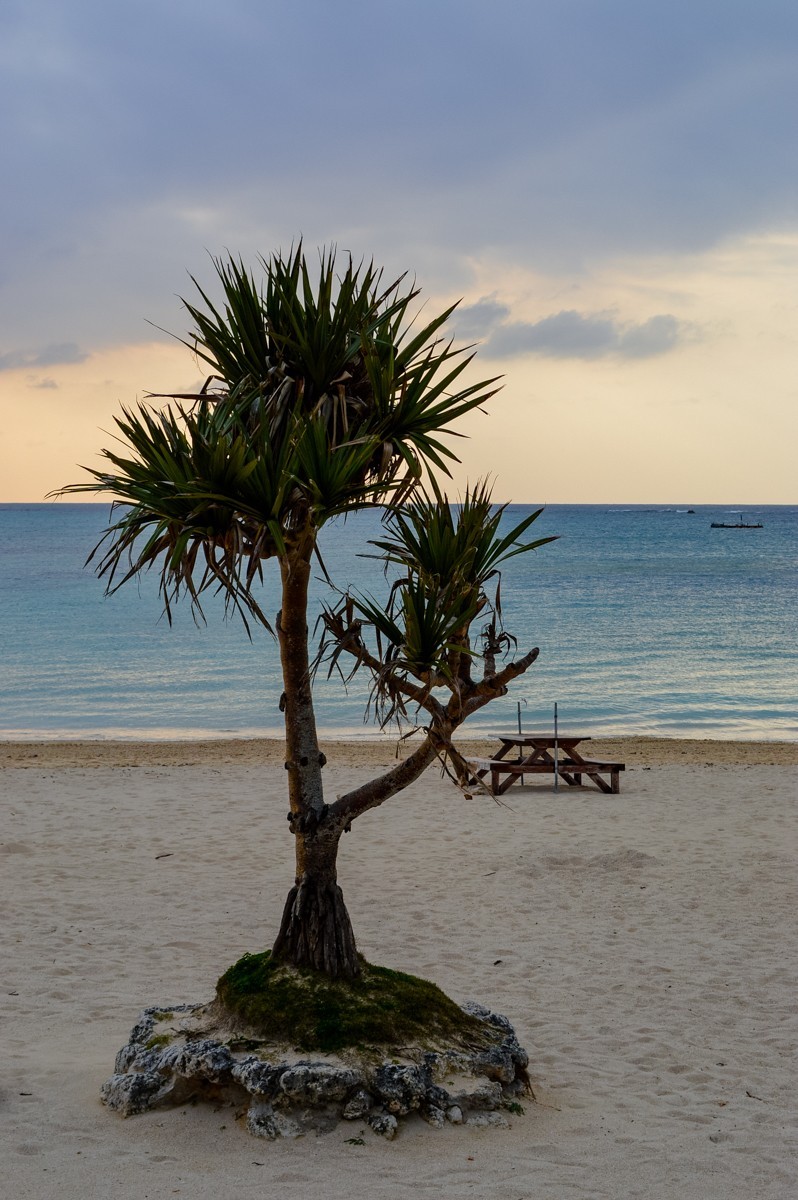 2016年冲绳游拍-33