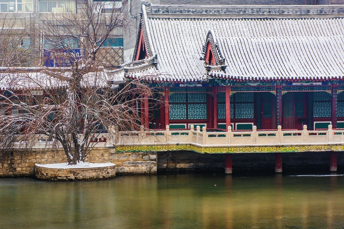 #一张照片一座城#保定●古莲池（雪景）