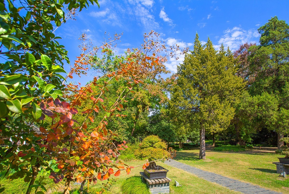 2023-06-21扬州盆景园（二）