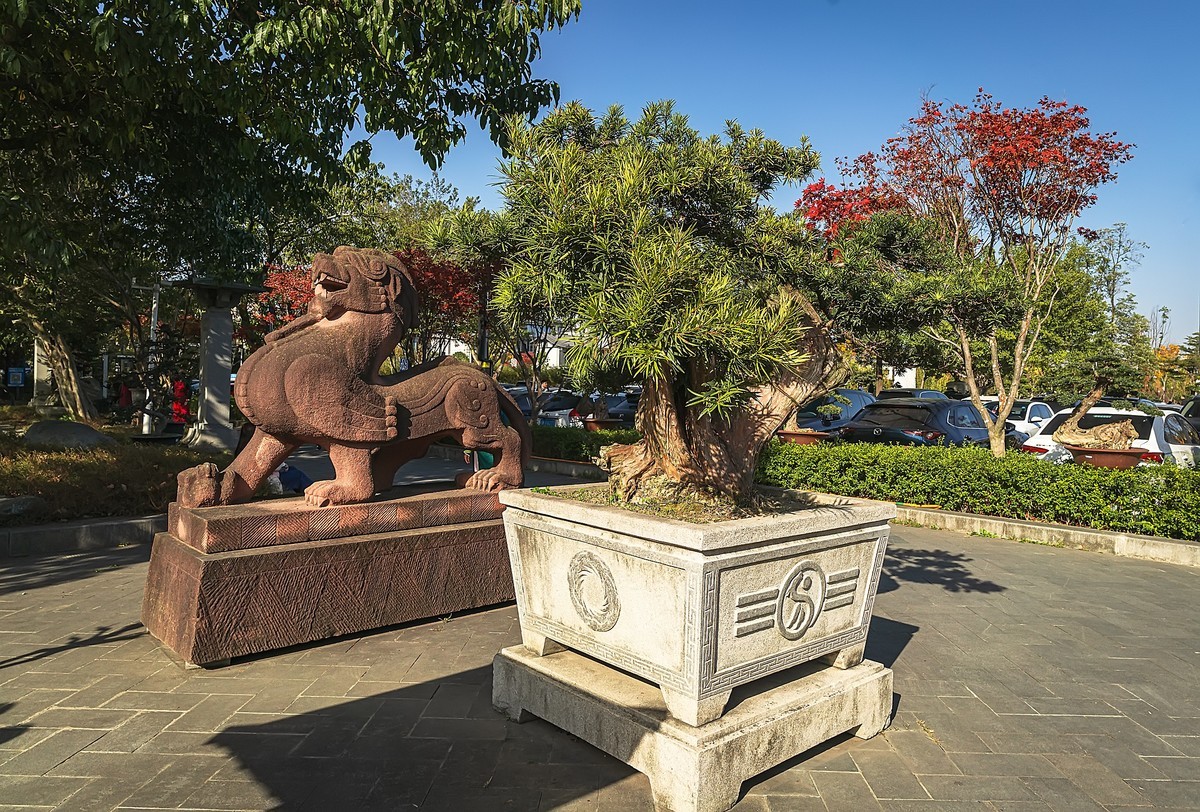 成都初冬 · 暖阳下的易园、蜀园