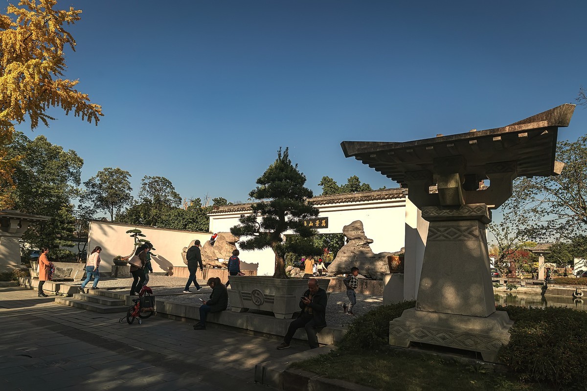 成都初冬 · 暖阳下的易园、蜀园