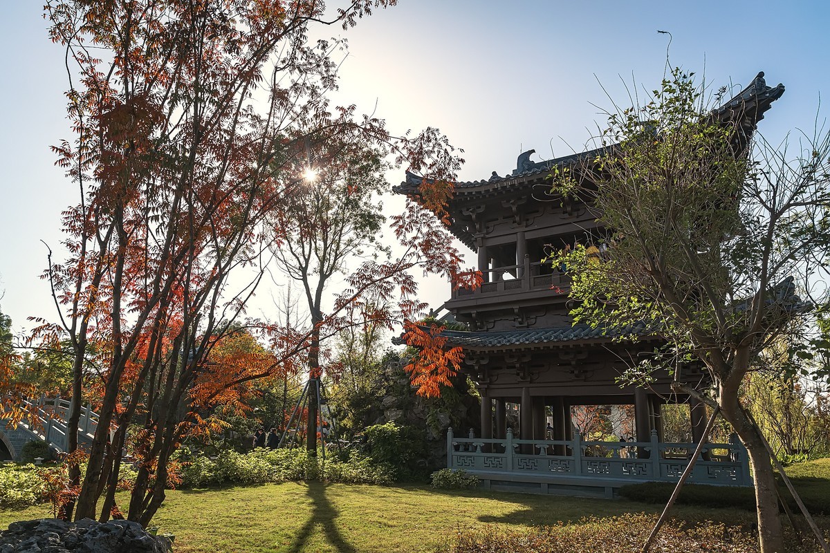 成都初冬 · 暖阳下的易园、蜀园
