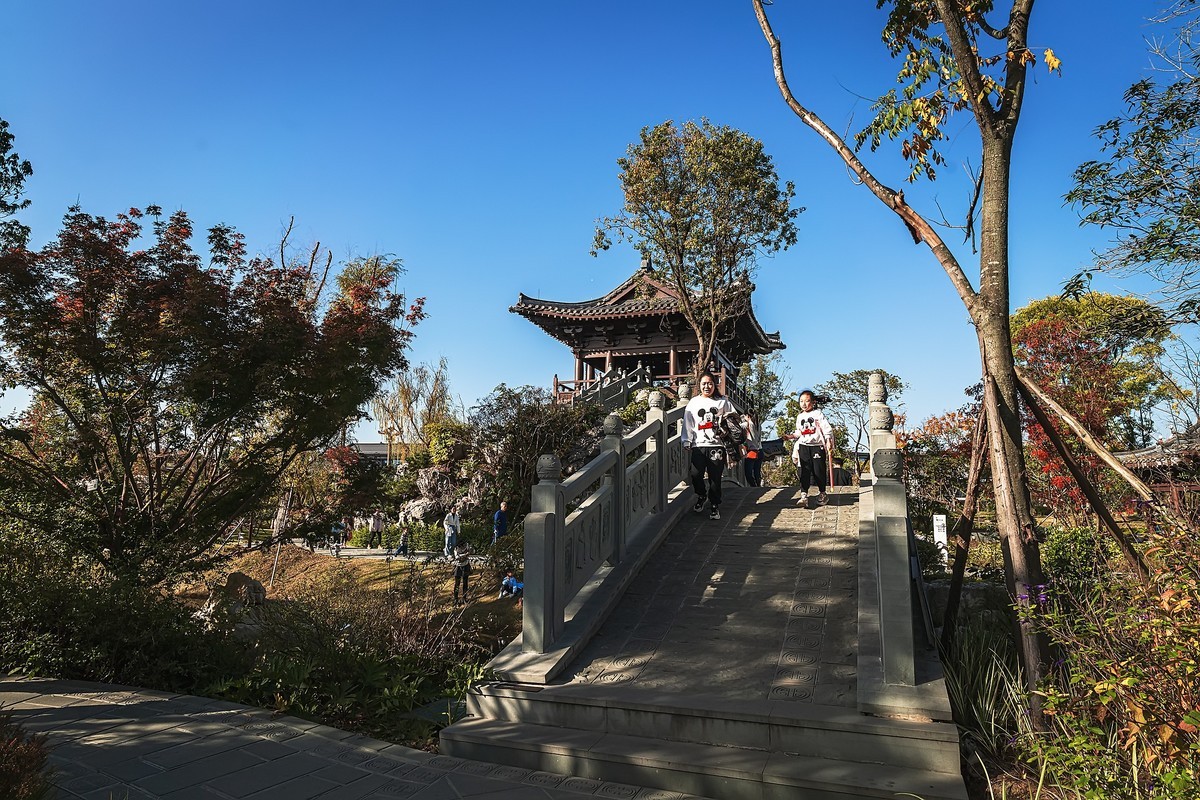 成都初冬 · 暖阳下的易园、蜀园