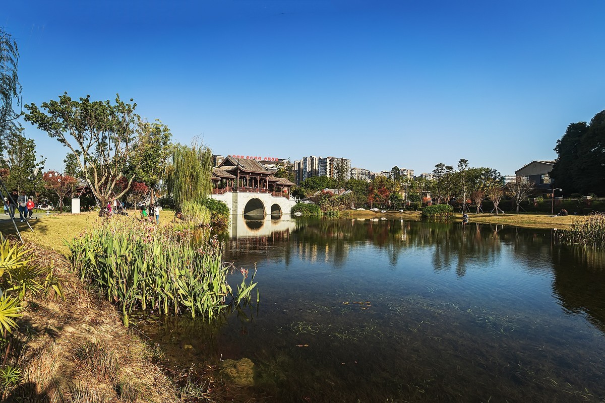 成都初冬 · 暖阳下的易园、蜀园