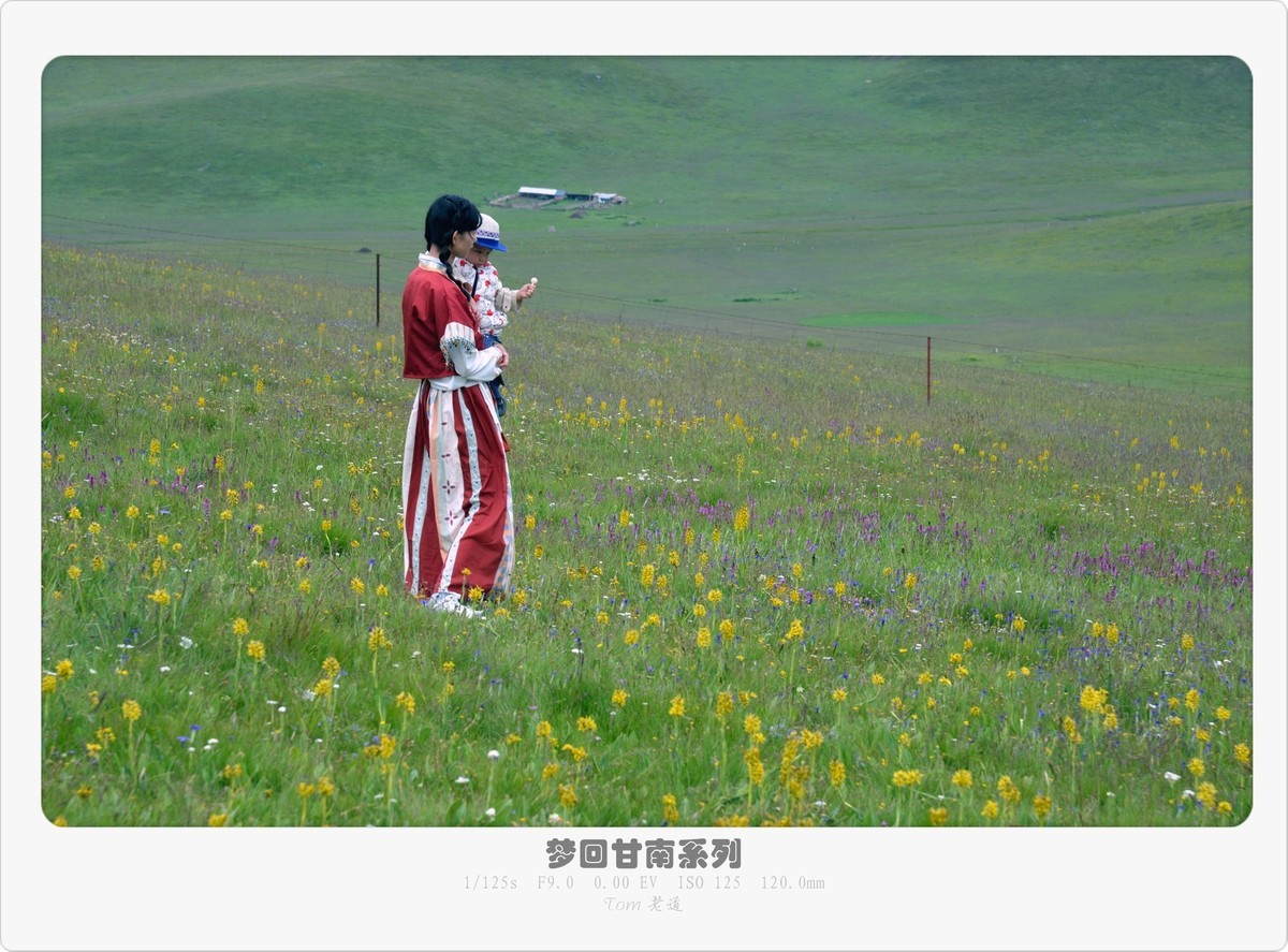 梦回甘南系列！