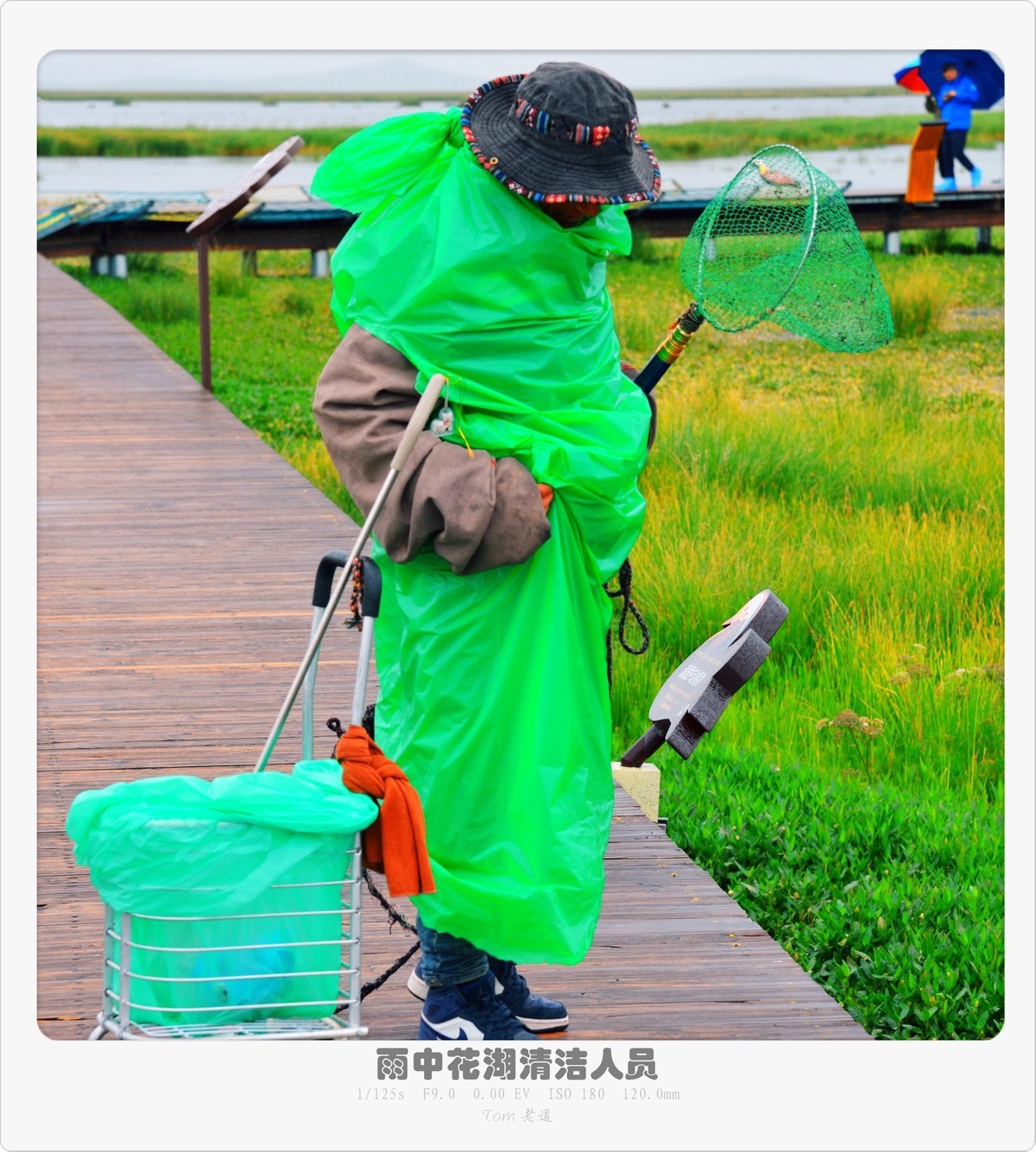 梦回甘南系列！