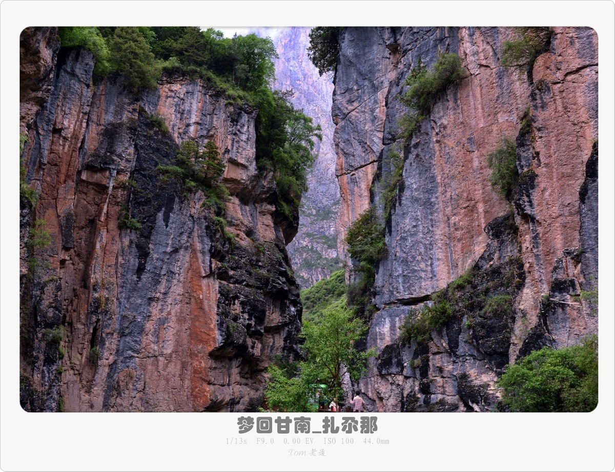 梦回甘南系列！