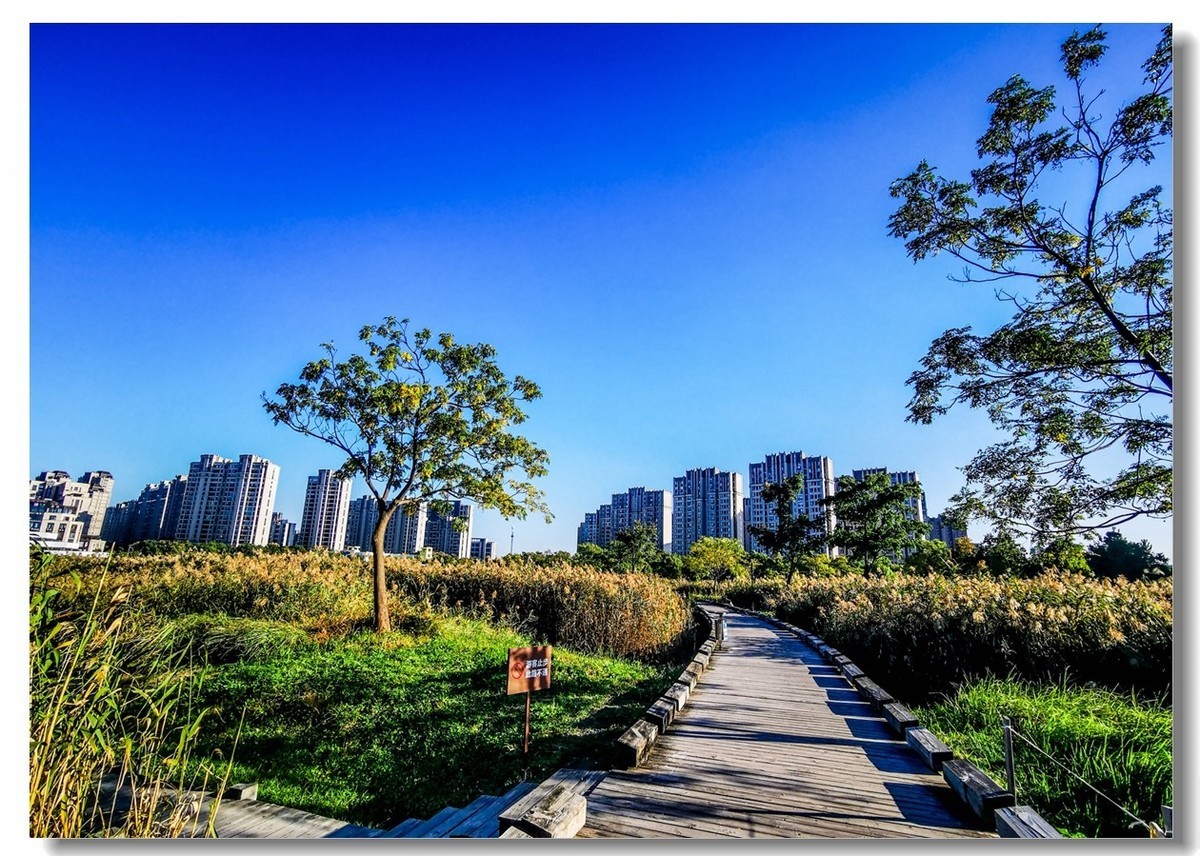 金银湖拾景（上海南翔）