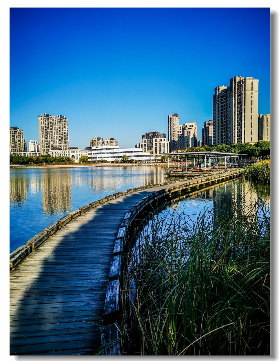 金银湖拾景（上海南翔）