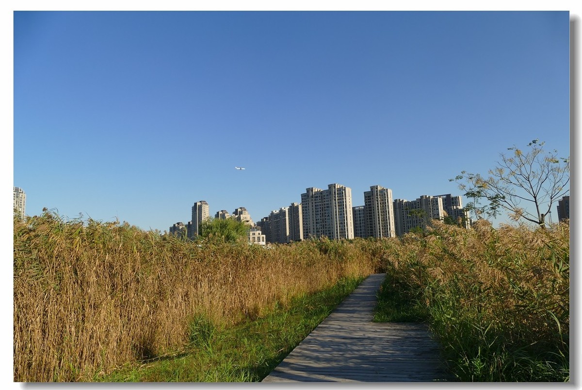 金银湖拾景（上海南翔）