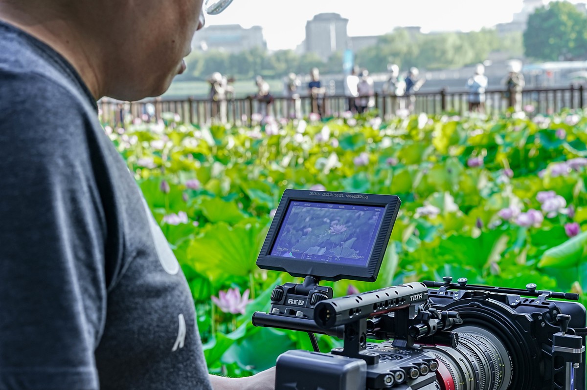 莲花池公园游拍20230629 《6》