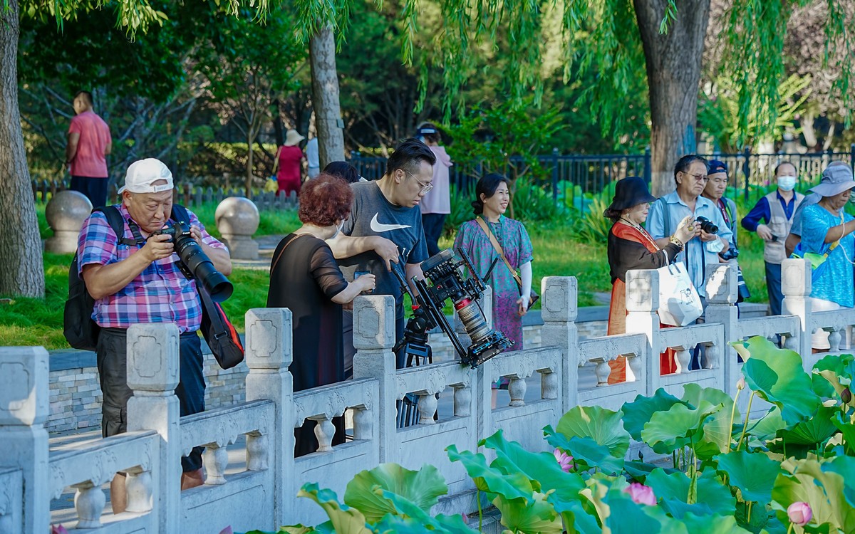 莲花池公园游拍20230629 《6》