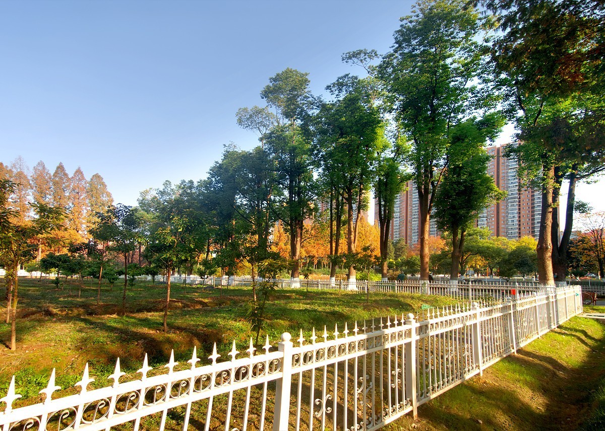 武汉园林科普公园7