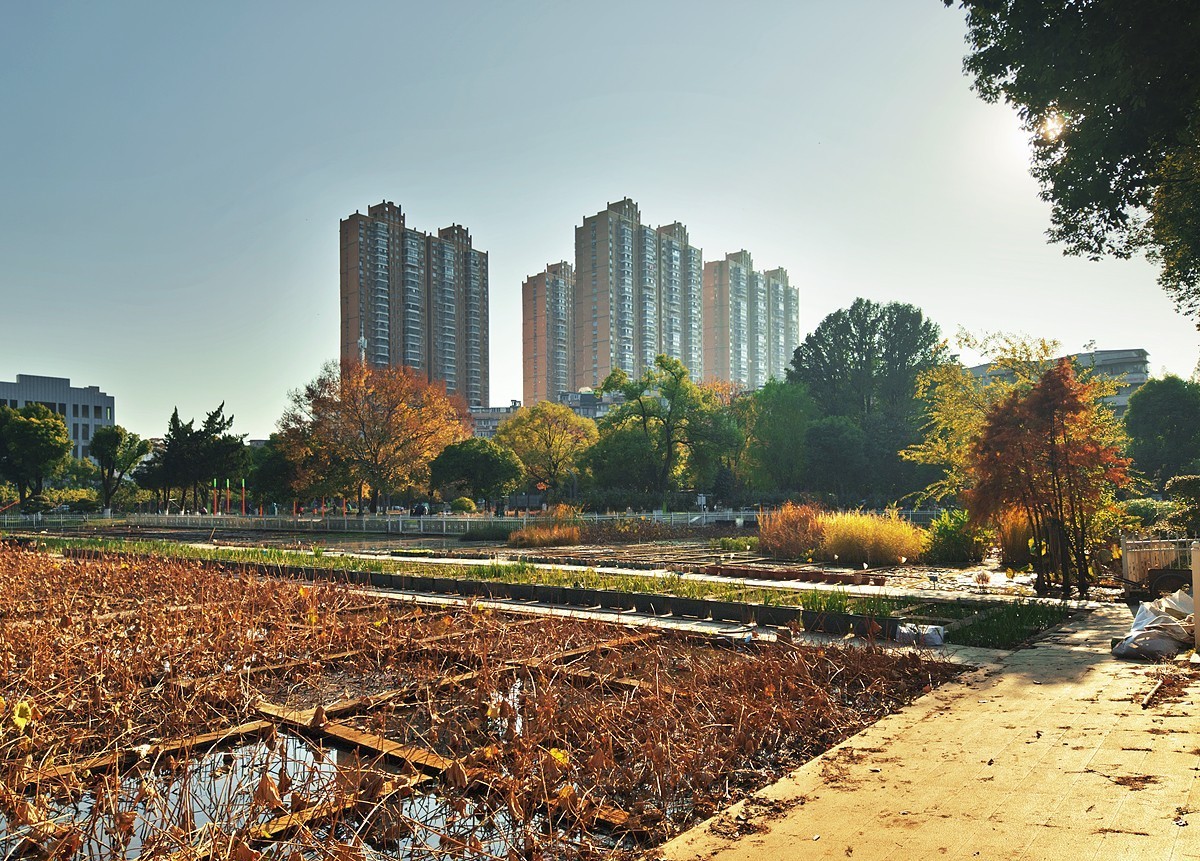 武汉园林科普公园7