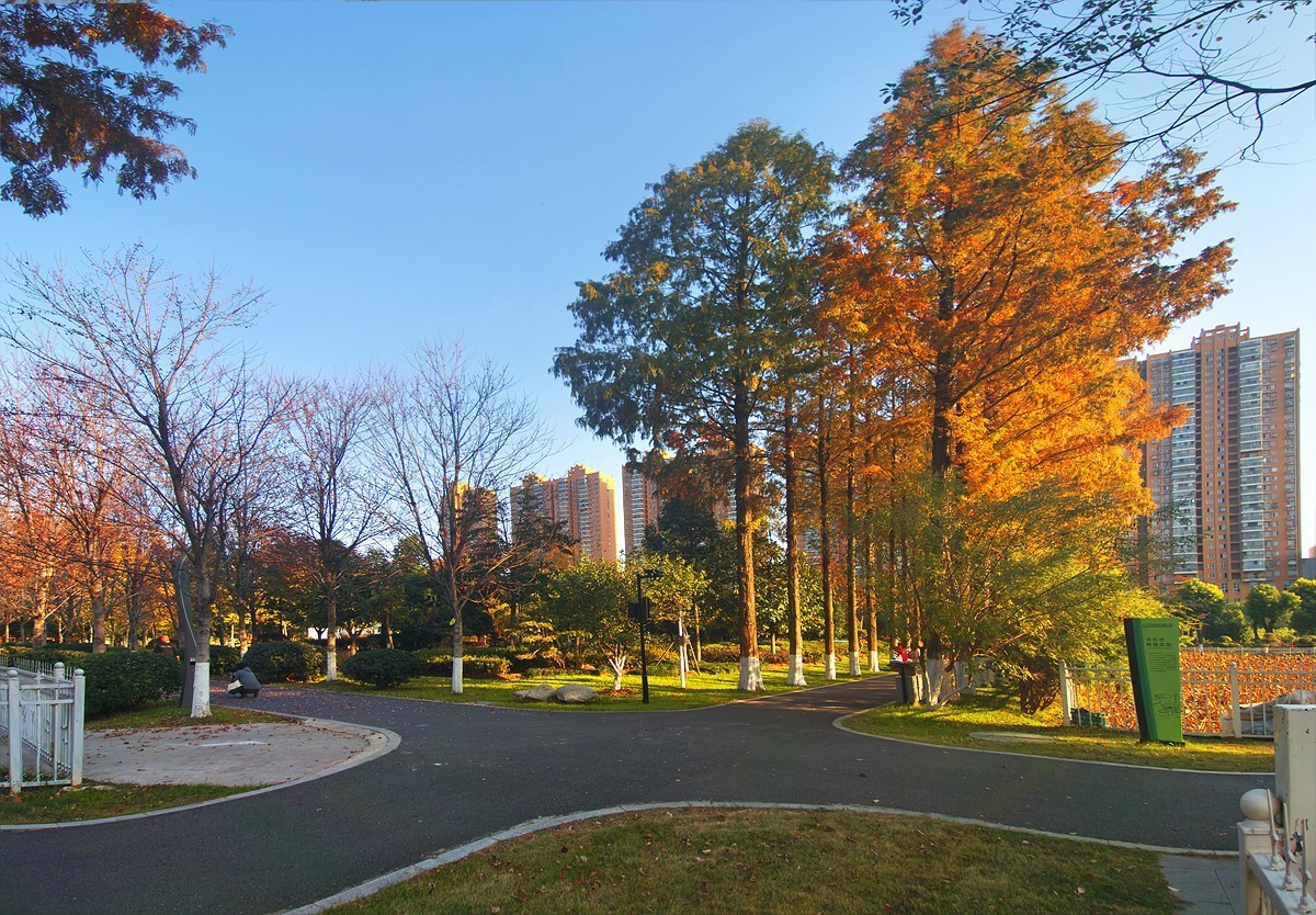 武汉园林科普公园7