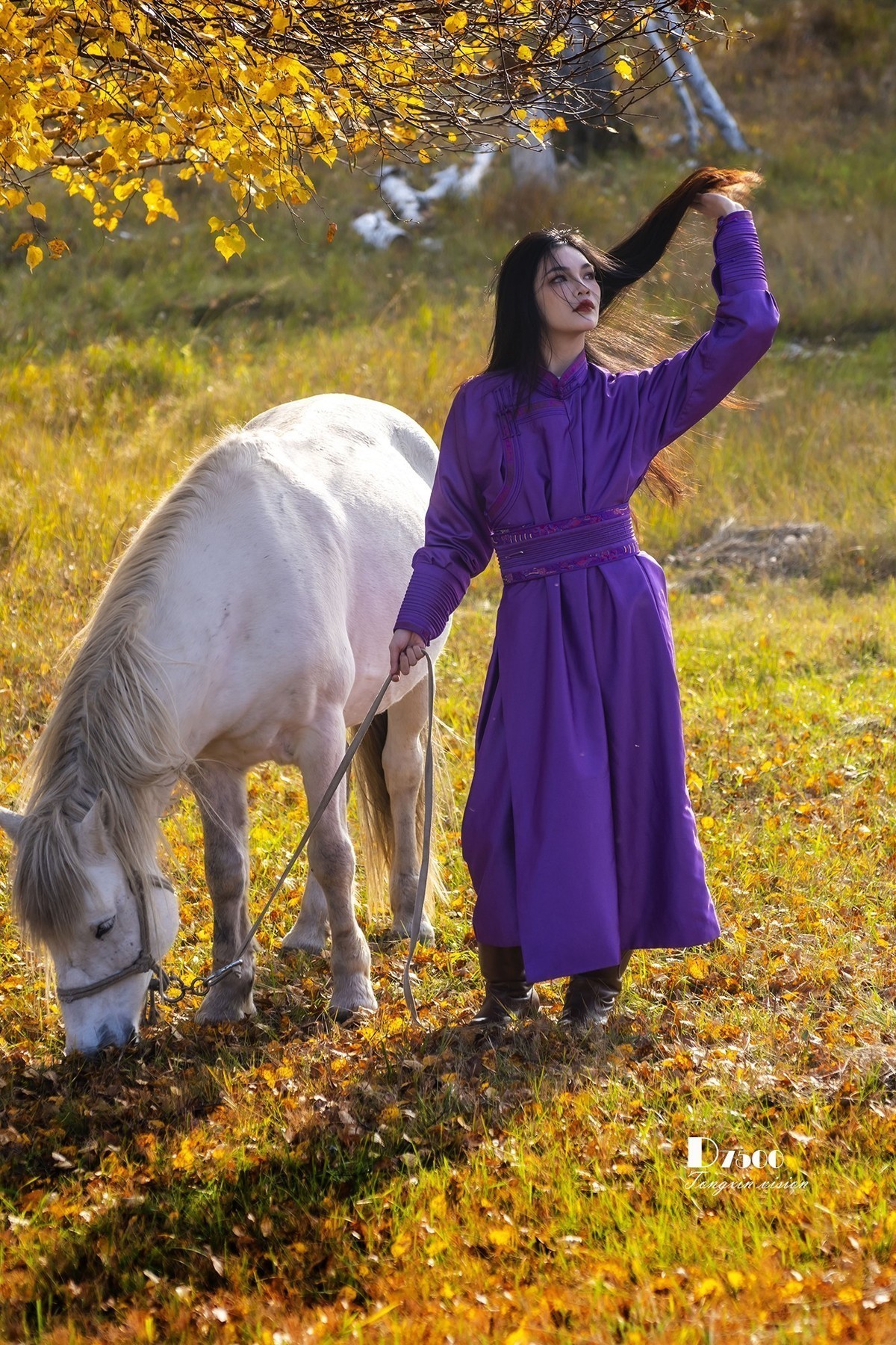 #版主坐堂#索尼大版星空(中国)2025年 2 月份优秀作品精选汇总