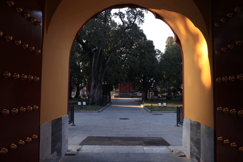 中山公园和兰花