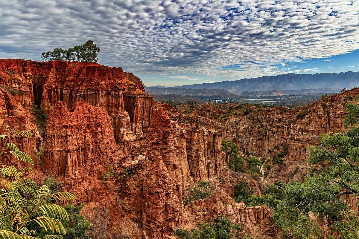 云南元谋 · 物茂土林
