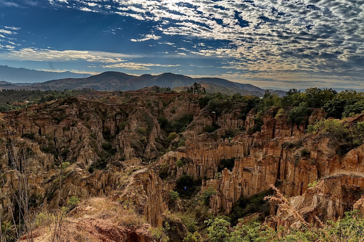 云南元谋 · 物茂土林