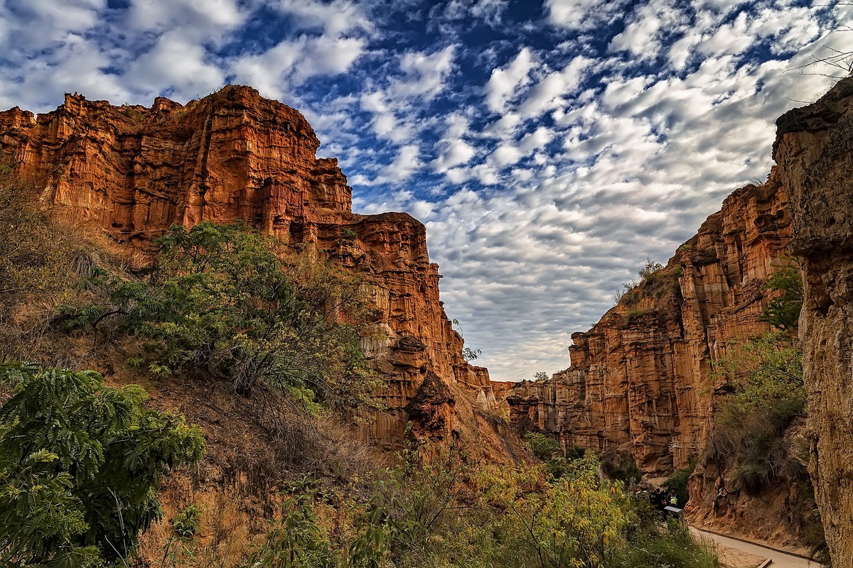 云南元谋 · 物茂土林