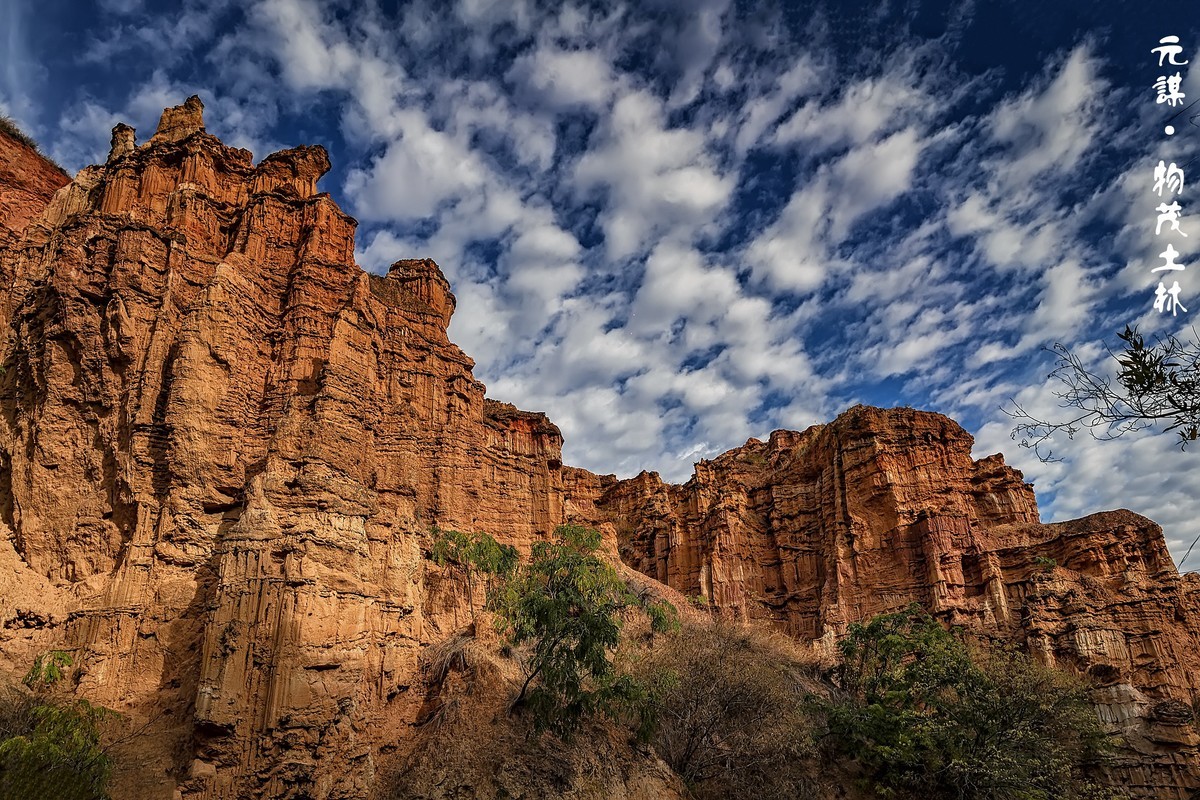 云南元谋 · 物茂土林