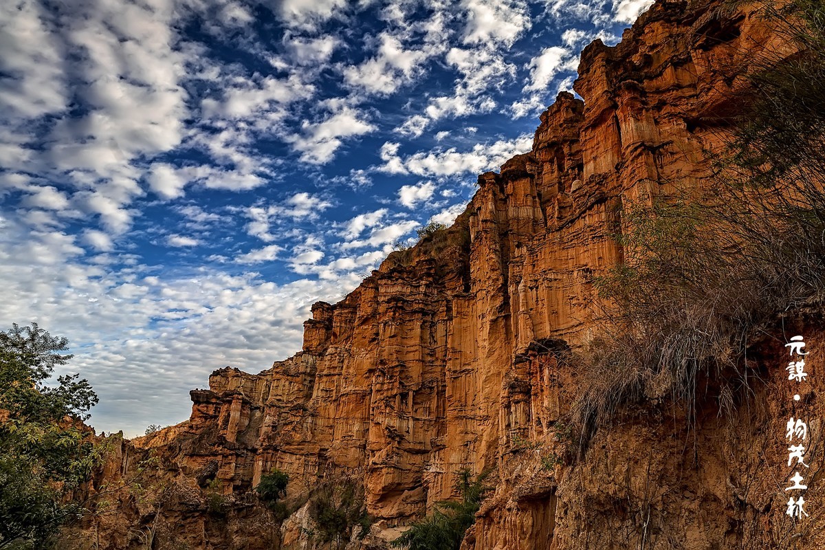云南元谋 · 物茂土林