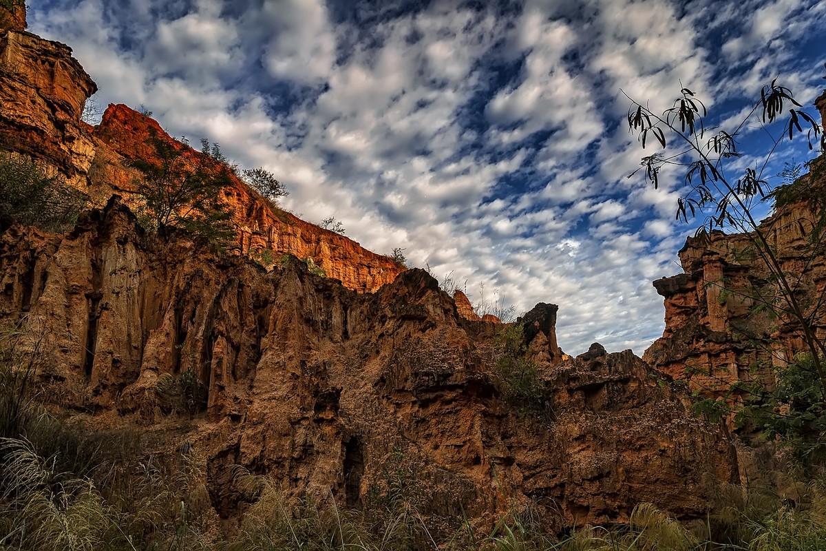 云南元谋 · 物茂土林