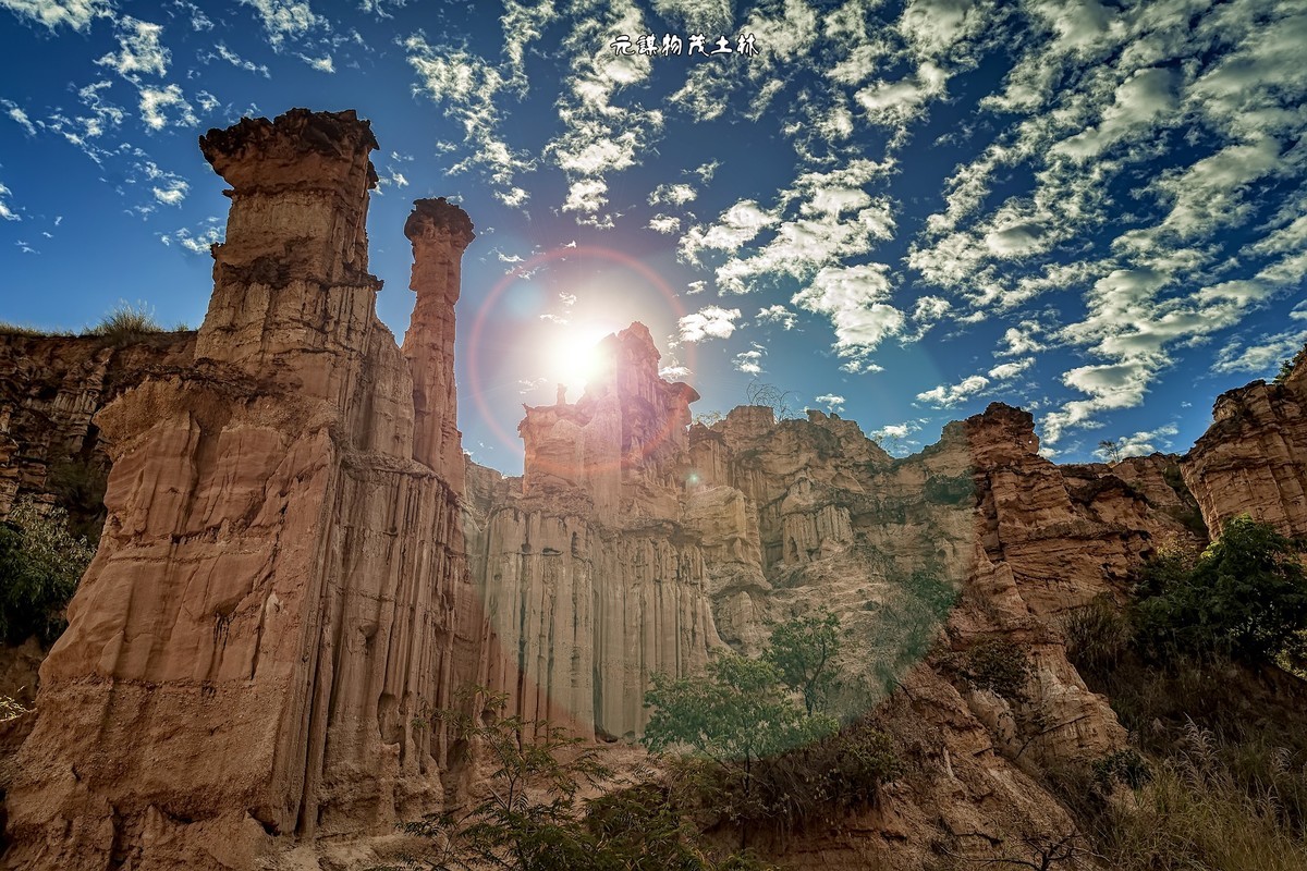 云南元谋 · 物茂土林