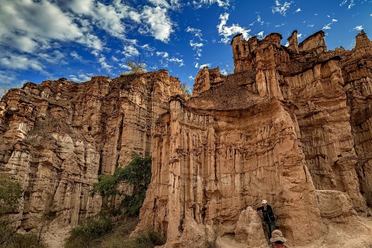 云南元谋 · 物茂土林