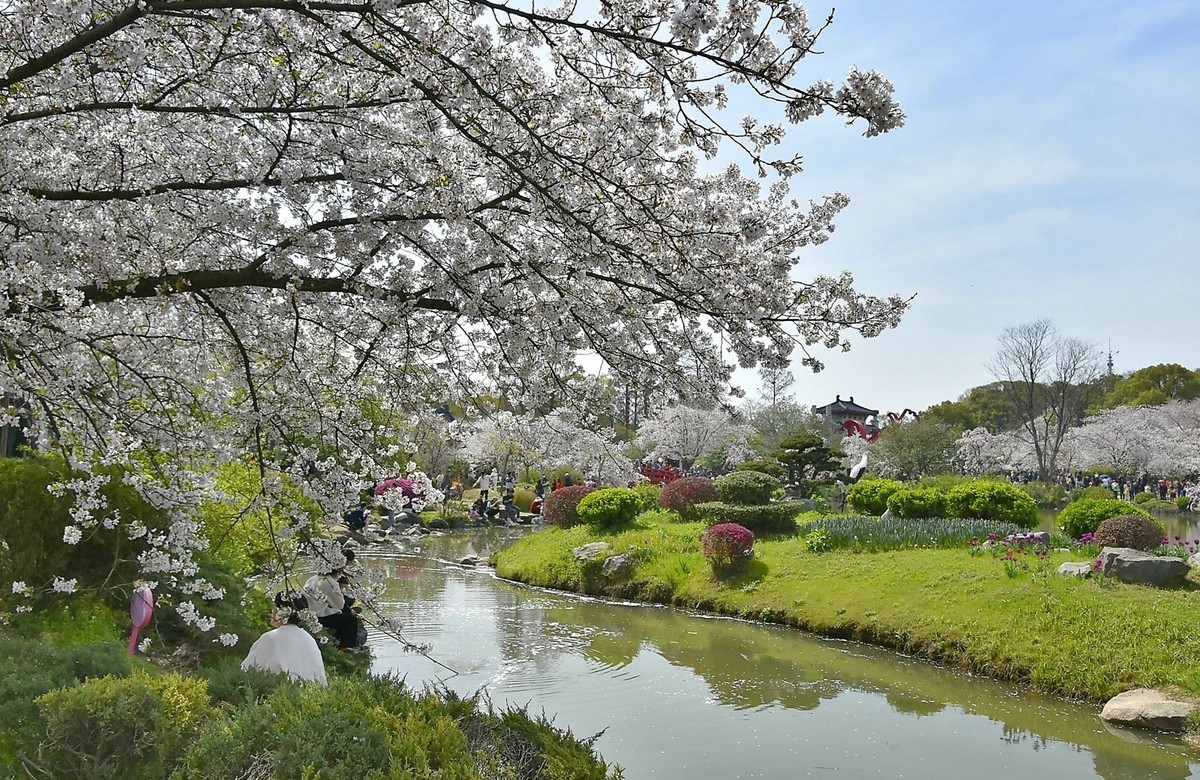 东湖樱花园