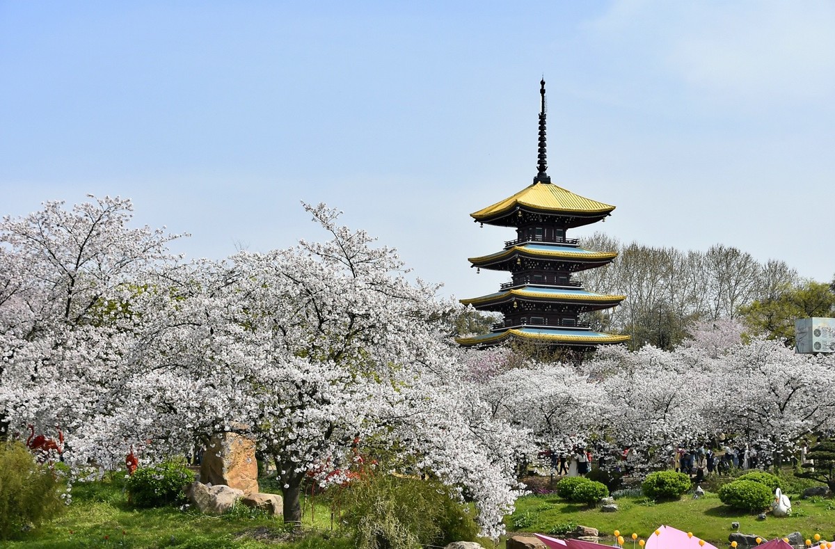 东湖樱花园