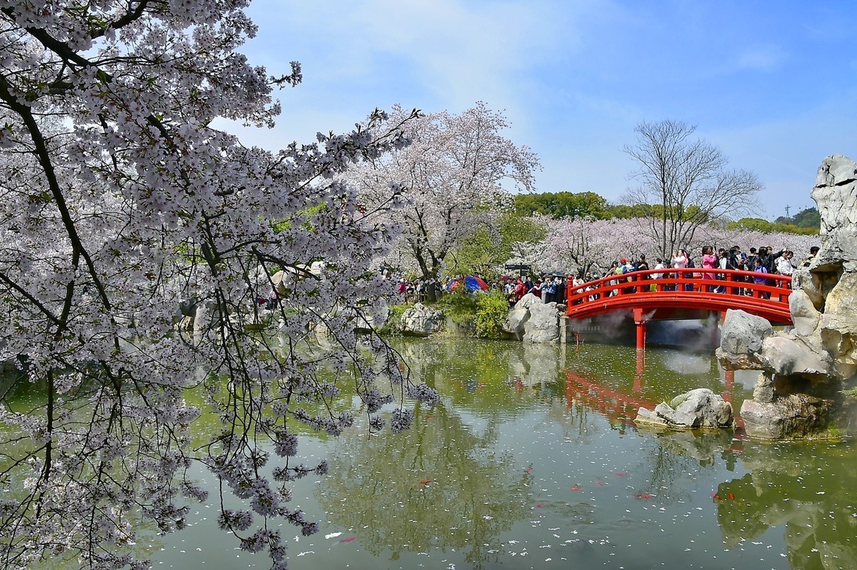 东湖樱花园