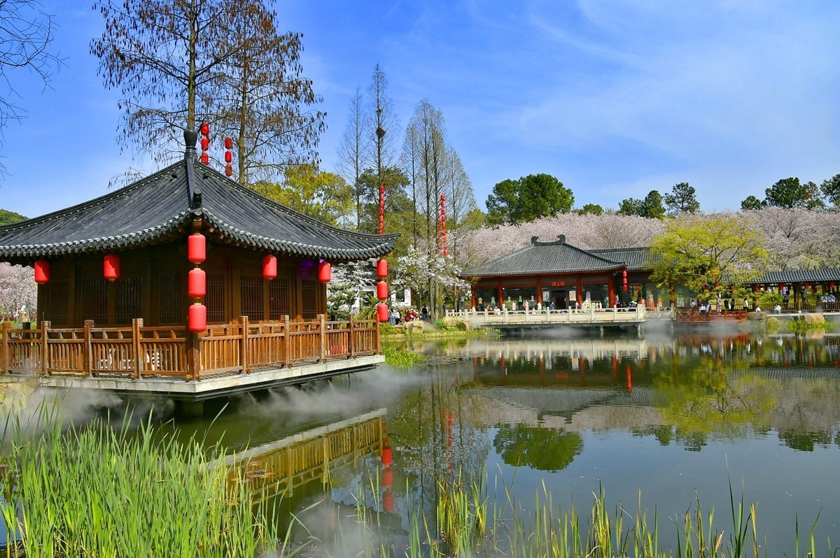 东湖樱花园